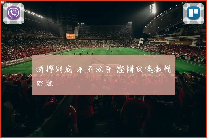 拼搏到底 永不放弃 铿锵玫瑰激情绽放