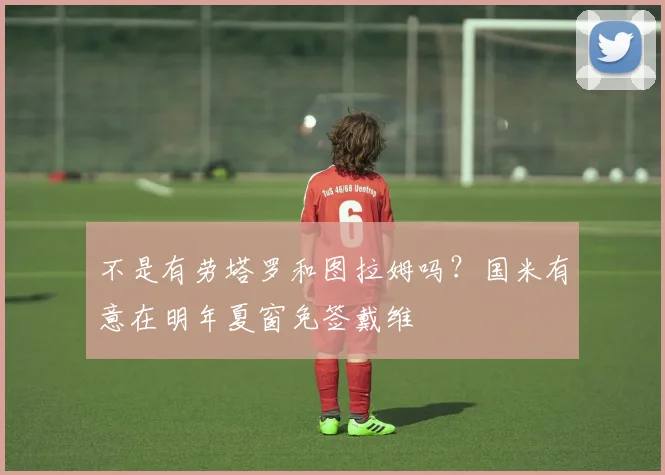 不是有劳塔罗和图拉姆吗？国米有意在明年夏窗免签戴维
